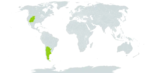 Eriogonum divaricatum world distribution map, present in Argentina and United States of America