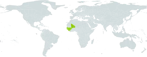 Eriosema afzelii world distribution map, present in Guinea, Guinea-Bissau, Mali, Senegal, and Sierra Leone