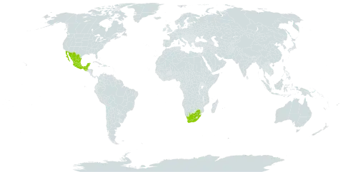 Eriosema grandiflorum world distribution map, present in Guatemala, Mexico, and South Africa