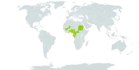 Eriosema pulcherrimum world distribution map, present in Angola, Benin, Central African Republic, Cameroon, Congo, Gabon, Ghana, Mali, Nigeria, Sudan, and Togo