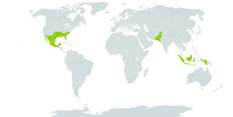 Erythrina herbacea world distribution map, present in Ghana, Indonesia, Mexico, Pakistan, Singapore, and United States of America