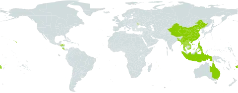 Etlingera world distribution map, present in Andorra, Australia, Bangladesh, China, Costa Rica, Dominica, Fiji, Honduras, Indonesia, Lao People's Democratic Republic, Moldova (Republic of), Myanmar, Mauritius, Philippines, Puerto Rico, Thailand, United States of America, Viet Nam, and Samoa