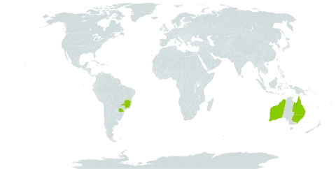 Eucalyptus andrewsii world distribution map, present in Australia and Brazil