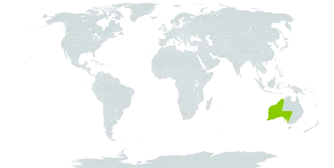 Eucalyptus brachycalyx world distribution map, present in Australia