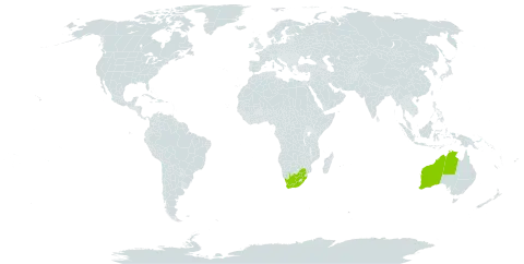 Eucalyptus brockwayi world distribution map, present in Australia and South Africa