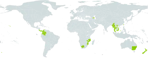 Eucalyptus cinerea subsp. cinerea world distribution map, present in Australia, Azerbaijan, Colombia, Costa Rica, Myanmar, Mozambique, New Zealand, Panama, Thailand, Taiwan, Province of China, United States of America, Viet Nam, and South Africa