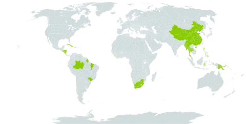 Eucalyptus deglupta world distribution map, present in Brazil, China, Cuba, Fiji, Micronesia (Federated States of), Honduras, Indonesia, Sri Lanka, Myanmar, Mauritius, Nicaragua, Niue, Philippines, Palau, Papua New Guinea, Puerto Rico, El Salvador, Thailand, Tonga, Trinidad and Tobago, United States of America, and South Africa