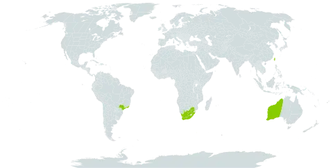 Eucalyptus diversicolor world distribution map, present in Australia, Brazil, Taiwan, Province of China, and South Africa