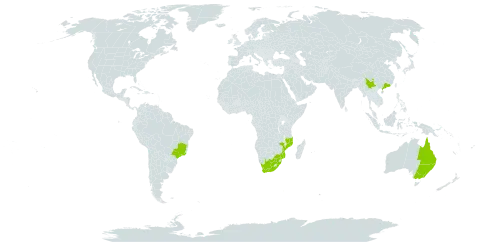 Eucalyptus melliodora world distribution map, present in Australia, Brazil, China, Mozambique, and South Africa