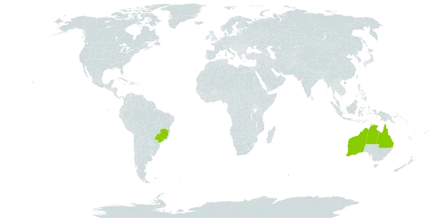 Eucalyptus miniata world distribution map, present in Australia and Brazil