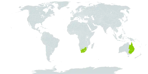 Eucalyptus nigra world distribution map, present in Australia and South Africa