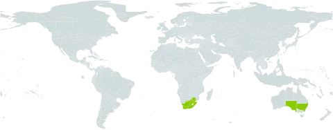 Eucalyptus racemosa subsp. racemosa world distribution map, present in Australia and South Africa