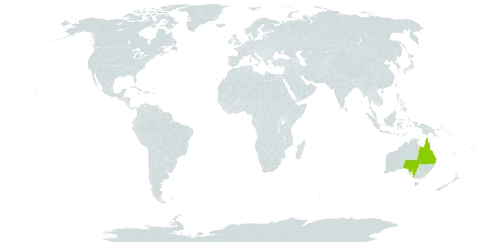 Eucalyptus shirleyi world distribution map, present in Australia
