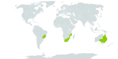 Eucalyptus siderophloia world distribution map, present in Australia, Brazil, Mozambique, and South Africa