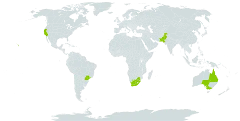Eucalyptus sideroxylon world distribution map, present in Australia, Brazil, Pakistan, United States of America, and South Africa