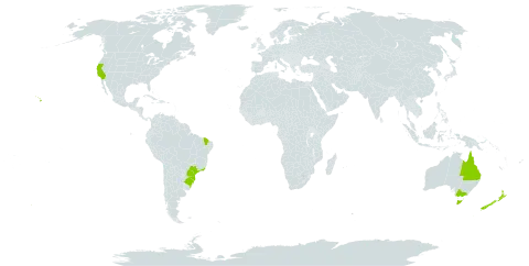 Eucalyptus viminalis world distribution map, present in Australia, Brazil, New Zealand, and United States of America