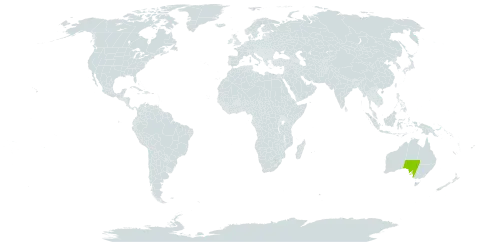 Eucalyptus vokesensis world distribution map, present in Australia