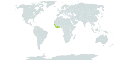 Eugenia leonensis world distribution map, present in Côte d'Ivoire, Ghana, Guinea, Gambia, Liberia, Senegal, and Sierra Leone