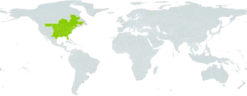 Euonymus atropurpureus world distribution map, present in Canada and United States of America