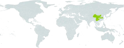 Euonymus giraldii world distribution map, present in China
