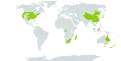 Euonymus world distribution map, present in Australia, China, Congo, Japan, Madagascar, Malaysia, New Zealand, United States of America, and South Africa