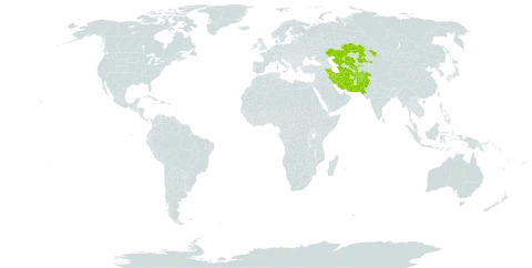 Euphorbia cheirolepis world distribution map, present in Afghanistan, Iran (Islamic Republic of), Kazakhstan, Pakistan, Turkmenistan, and Uzbekistan