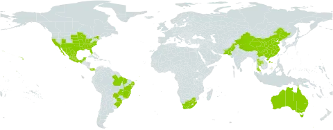 Euphorbia cyathophora world distribution map, present in Australia, Brazil, China, Mexico, Pakistan, Panama, Thailand, United States of America, and South Africa