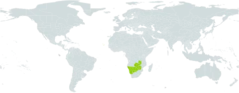 Euphorbia eylesii world distribution map, present in Botswana, Cabo Verde, Namibia, Zambia, and Zimbabwe