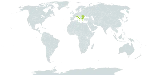 Euphorbia fragifera world distribution map, present in Albania, Bulgaria, Greece, Italy, and Romania