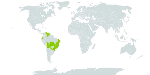 Euphorbia insulana world distribution map, present in Bolivia (Plurinational State of), Brazil, Ecuador, Paraguay, and Venezuela (Bolivarian Republic of)