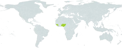 Euphorbia kerstingii world distribution map, present in Benin, Guinea, Nigeria, and Togo
