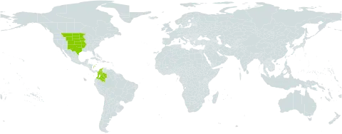 Euphorbia missurica world distribution map, present in Colombia and United States of America