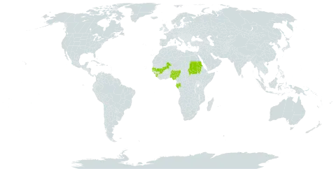Euphorbia paganorum world distribution map, present in Gabon, Guinea, Mali, Nigeria, Sudan, Senegal, and Sierra Leone