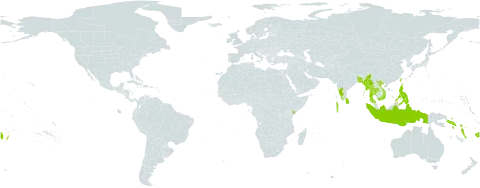 Euphorbia pallens world distribution map, present in Andorra, Bangladesh, Fiji, Indonesia, India, Kenya, Sri Lanka, Maldives, Myanmar, Philippines, Solomon Islands, Thailand, Tonga, Taiwan, Province of China, Viet Nam, Vanuatu, Wallis and Futuna, and Samoa