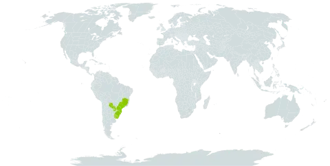 Euphorbia papillosa world distribution map, present in Brazil, Paraguay, and Uruguay