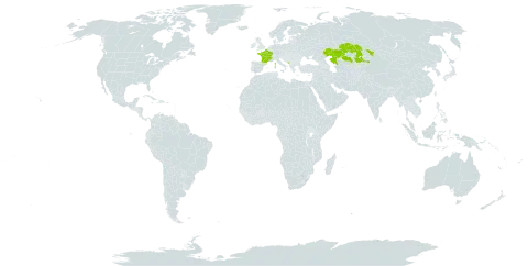 Euphorbia pilosa world distribution map, present in France, Kazakhstan, and Montenegro