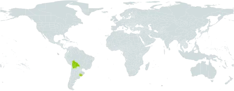 Euphorbia portulacoides subsp. portulacoides world distribution map, present in Bolivia (Plurinational State of) and Uruguay
