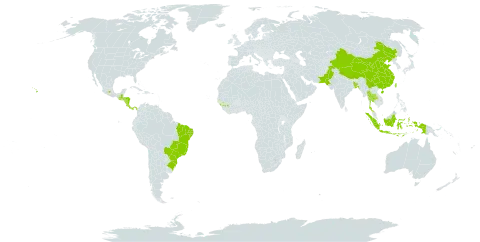 Euphorbia pulcherrima world distribution map, present in Bangladesh, Brazil, China, Costa Rica, Guinea, Gambia, Guatemala, Honduras, Indonesia, Mexico, Nicaragua, Pakistan, Panama, Thailand, Taiwan, Province of China, and United States of America