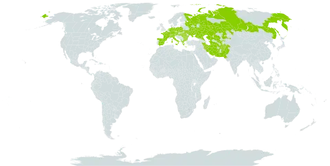 Euphorbia seguieriana world distribution map, present in Afghanistan, Albania, Austria, Bulgaria, Switzerland, Czech Republic, Germany, Spain, France, Greece, Hungary, Iran (Islamic Republic of), Italy, Kazakhstan, Netherlands, Pakistan, Poland, Romania, Russian Federation, Turks and Caicos Islands, Turkmenistan, Ukraine, and Uzbekistan