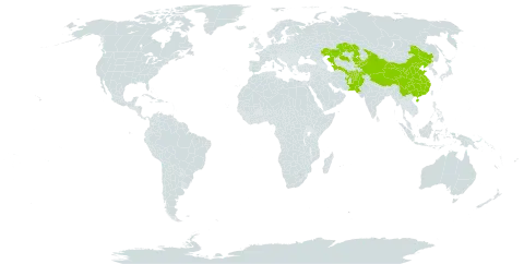 Euphorbia thomsoniana world distribution map, present in Afghanistan, China, India, Kazakhstan, Kyrgyzstan, Sri Lanka, Pakistan, and Turkmenistan