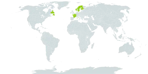 Euphrasia salisburgensis world distribution map, present in Canada, Finland, France, United Kingdom of Great Britain and Northern Ireland, Norway, and Sweden