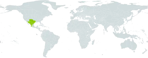 Euploca greggii world distribution map, present in Mexico and United States of America