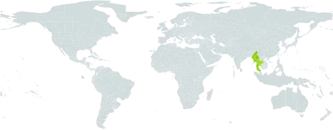 Eurysolen world distribution map, present in China, Indonesia, Myanmar, and Thailand