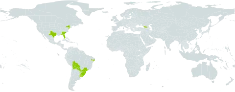 Eustachys retusa world distribution map, present in Bolivia (Plurinational State of), Brazil, Georgia, Paraguay, Uruguay, and United States of America