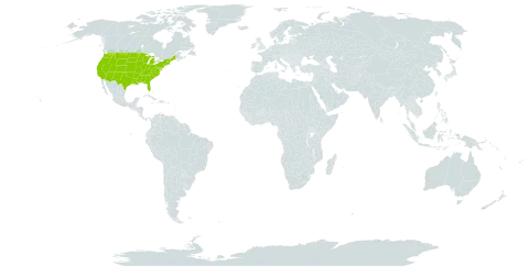 Euthamia world distribution map, present in United States of America