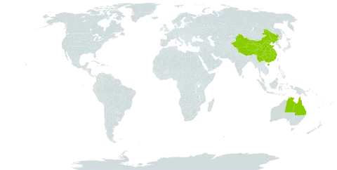 Fagaceae world distribution map, present in Australia and China