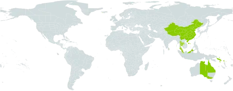 Fagraea racemosa world distribution map, present in Australia, Bahamas, China, India, Iceland, Sri Lanka, Malaysia, Solomon Islands, and Thailand