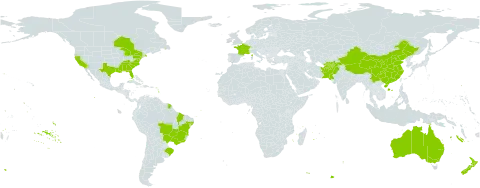 Ficus carica world distribution map, present in Afghanistan, Australia, Brazil, Canada, China, France, New Zealand, Pakistan, and United States of America