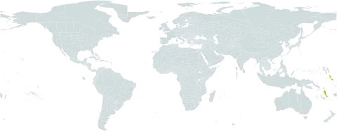 Ficus prolixa world distribution map, present in American Samoa, Cook Islands, Fiji, Micronesia (Federated States of), Guam, Kiribati, Northern Mariana Islands, Niue, Nauru, Pitcairn, Tonga, Tuvalu, United States of America, and Vanuatu