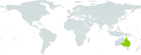 Ficus watkinsiana world distribution map, present in Australia